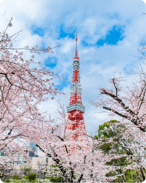 安定した土台の上で、新しい組織を自らの手で創り上げる。
